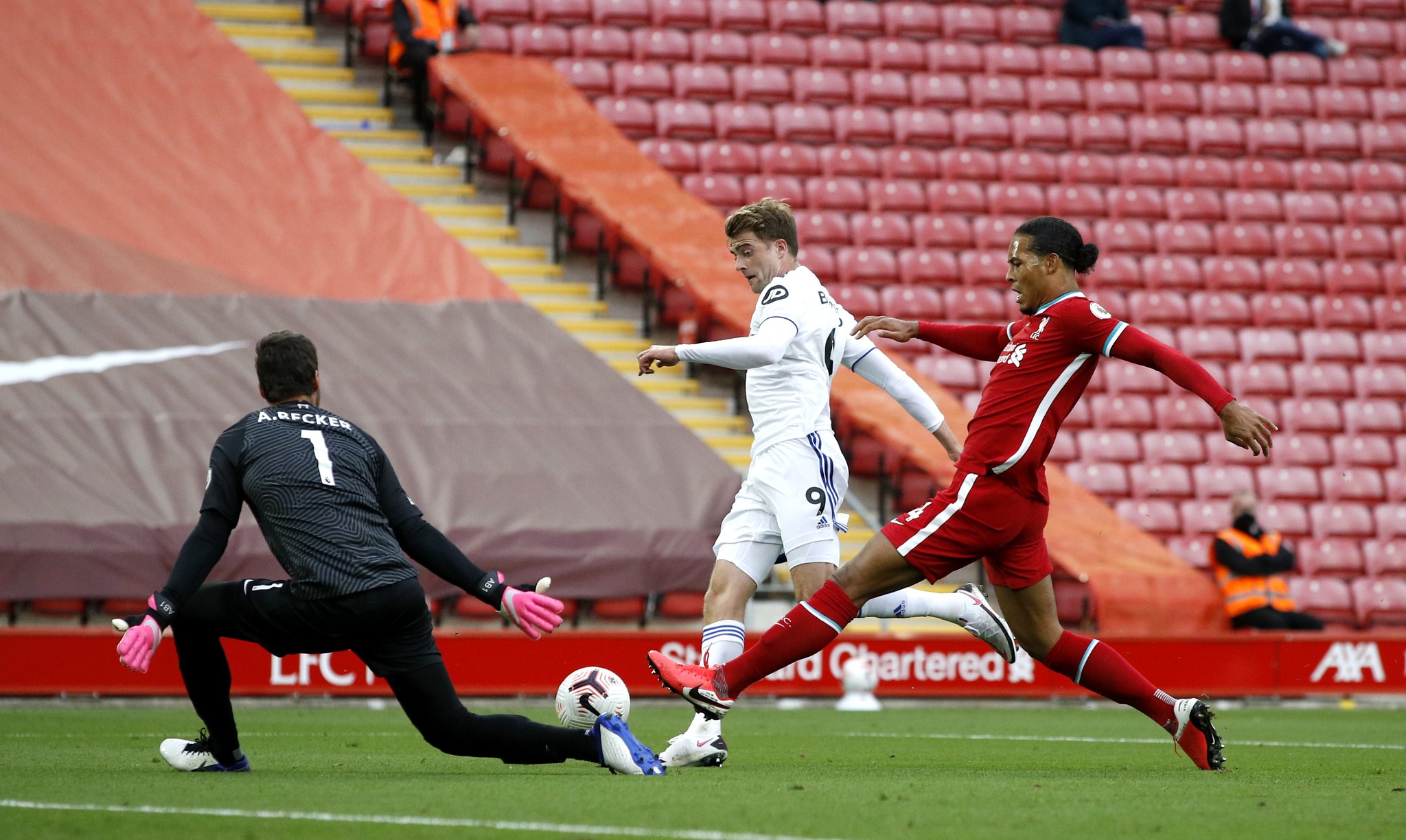 舞了猛龙队 舞了猛龙队